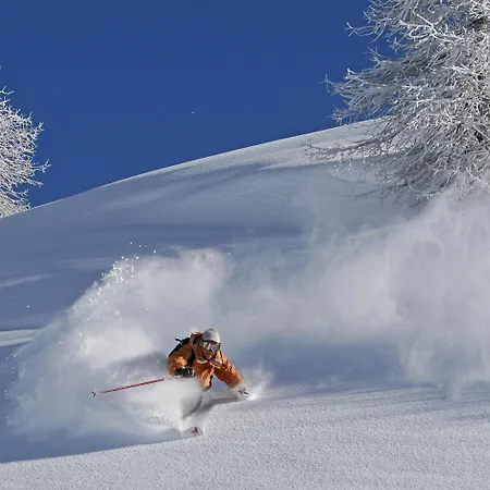 Alpine Appartamento