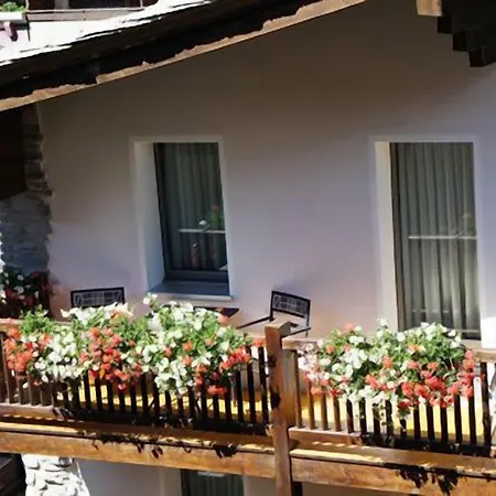 Alpine Appartement *