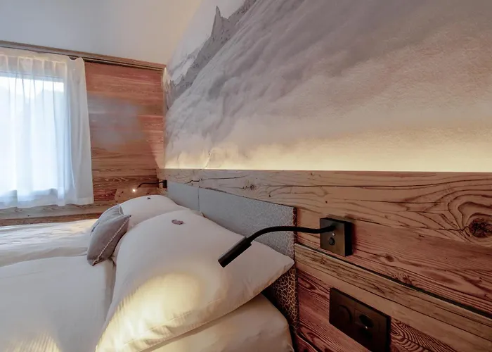 公寓 阿尔卑斯洛奇酒店 *