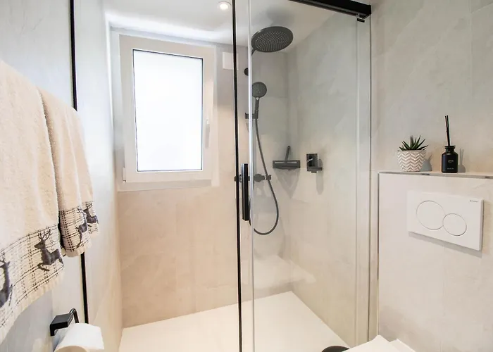 公寓 阿尔卑斯洛奇酒店