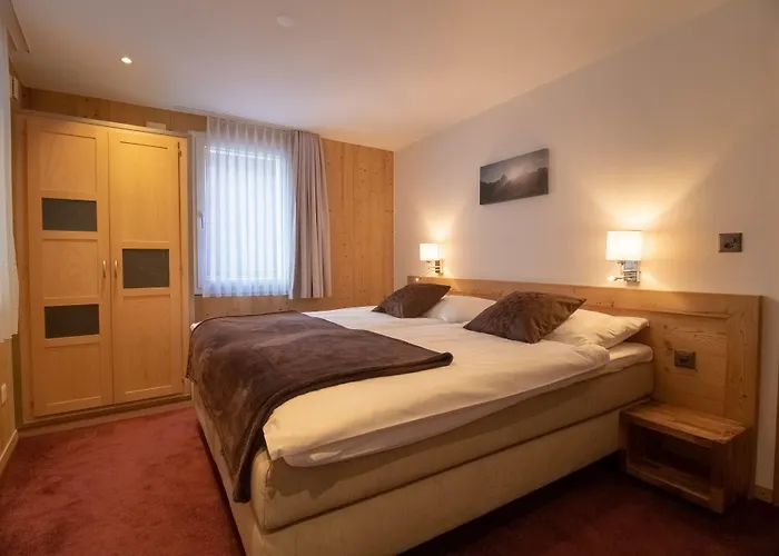 阿尔卑斯洛奇酒店 公寓 *