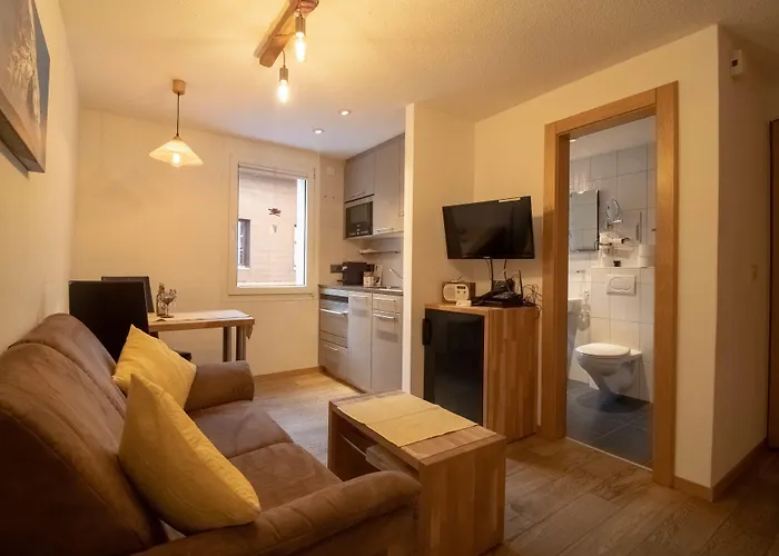 公寓 阿尔卑斯洛奇酒店 *