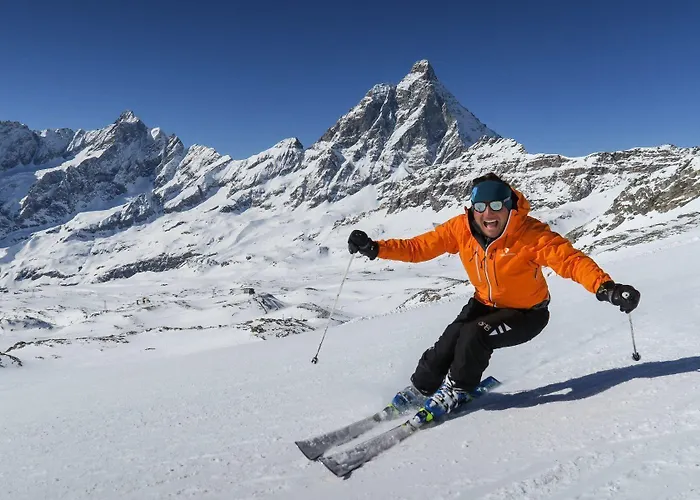 阿尔卑斯洛奇酒店 *
